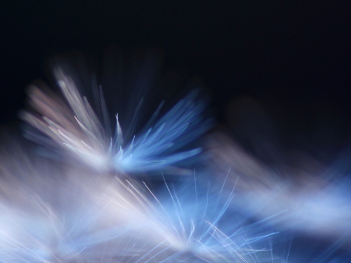 Kopie (4) - Kopie - DSC_6601