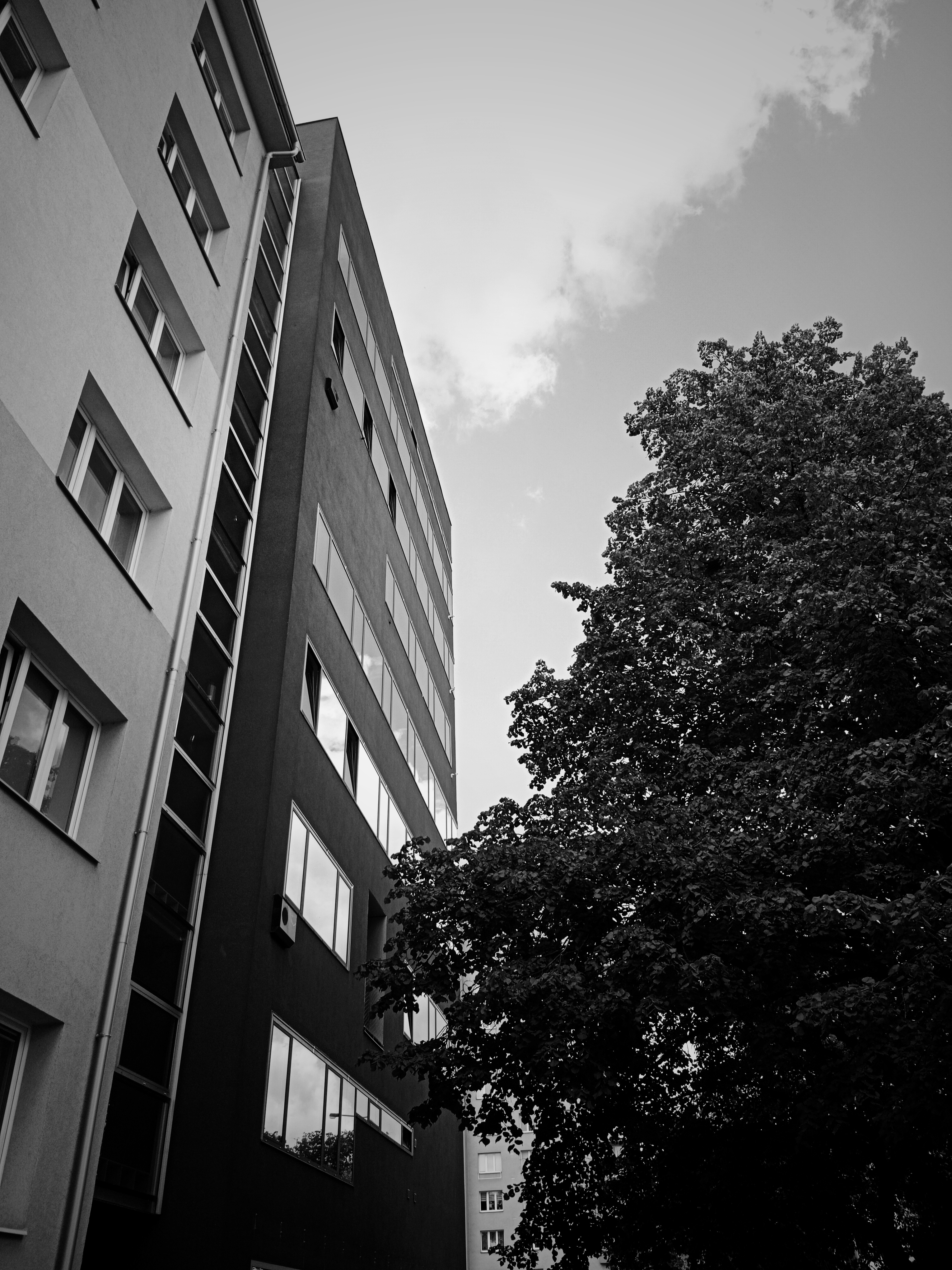 IMG_20250624_110931